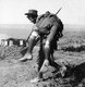 Turkey: Australian soldier carrying wounded comrade, Gallipoli, Dardanelles Campaign, 1915