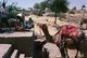 India: At a water well in the Thar Desert near Jaisalmer